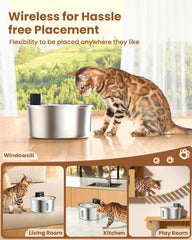 PawPoll fountain side profile shows wireless design for flexible placement.