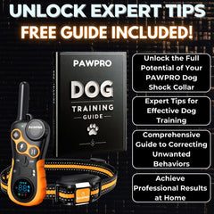 PAWPRO 124 levels and four modes tailor feedback to temperament