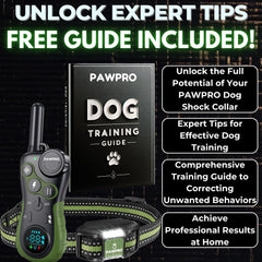 PAWPRO training guide included for easy, real-life obedience
