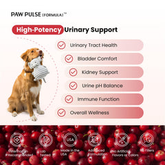 PAWPULSE FORMULA D-Mannose dog chews a tasty daily treat aiding urine flow