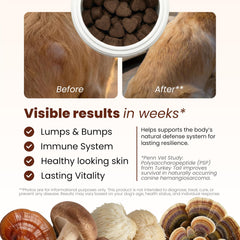 PAWPULSE FORMULA seven-mushroom blend label highlights immune balance for dogs.