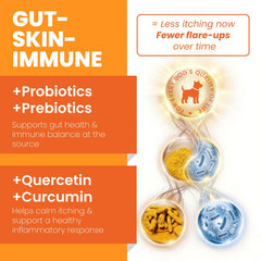 PAWPULSE FORMULA quercetin curcumin dual defense closeup emphasizing anti-inflammatory support