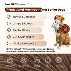 PAWPULSE FORMULA soft chews in jar for dogs' daily wellness.