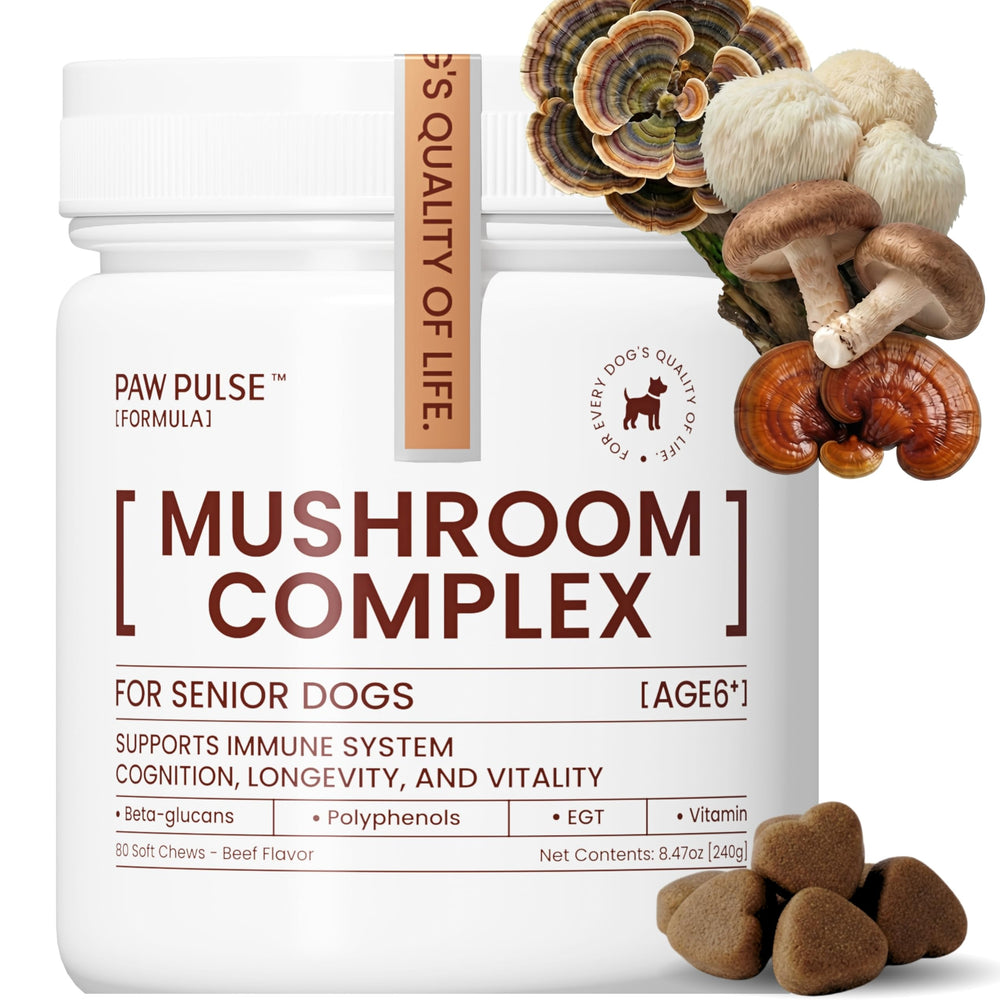 PAWPULSE FORMULA turkey tail mushroom bottle supports dogsβ immune health.