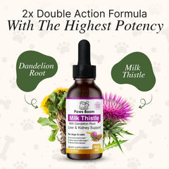 Paws Boom Dandelion Root Extract label highlights digestion support