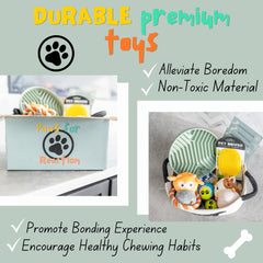 Paws For Reaction circle rope toy for safe tugging and chewing