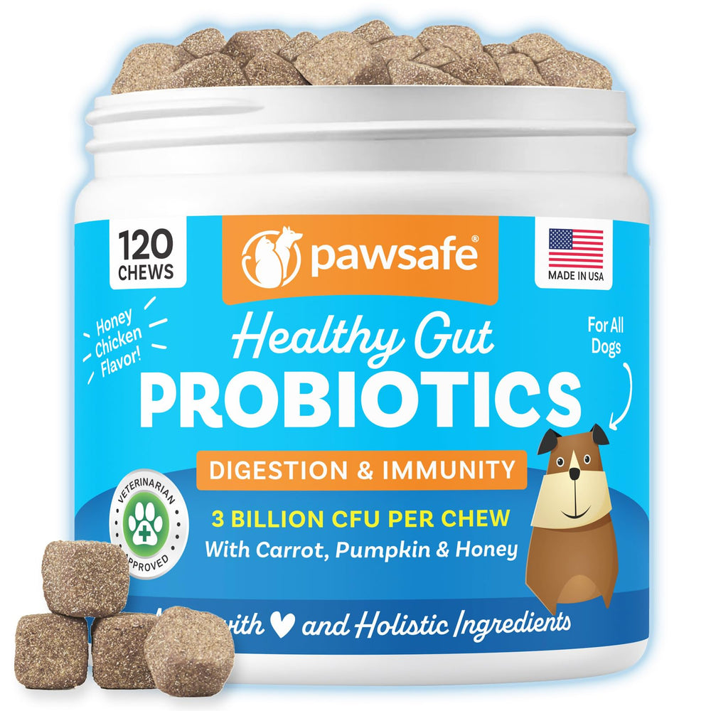 PawSafe dog probiotics soft chews tub for digestive support and palatability.