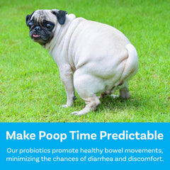 PawSafe probiotic ingredients pumpkin and fenugreek support gut health.