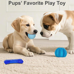 PawsAion tug toy supports fetch, training, and bonding sessions.