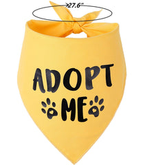 Pawskido Adopt Me Bandana in hot pink boosts visibility on outings.