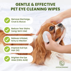PawSono Eye Wipes feature natural plant extracts for soothing care.