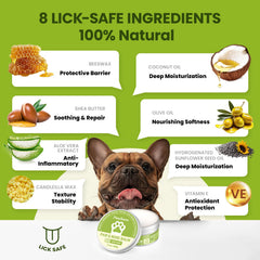 PawSono nose balm on dog's nose demonstrates gentle protection outdoors.