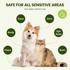 PawSono extra-large wipes cover more area for quick grooming