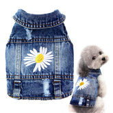 Pawstrip denim jacket with daisy embroidery adds charm for small dogs.