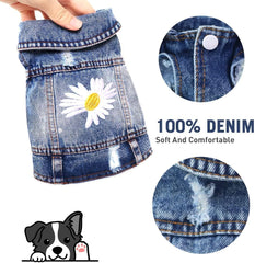 Pawstrip dog jacket shows a practical lapel collar for easy on and off.