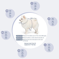 Pawstrip small-dog fashion jacket with lapel collar for easy on/off.