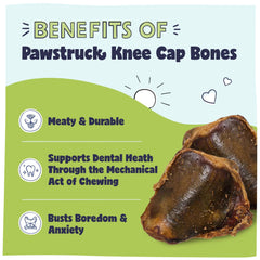 Pawstruck beef knee cap chew, long-lasting for aggressive chewers.