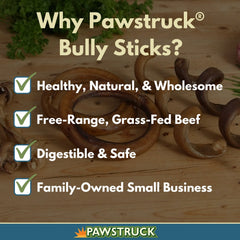 Pawstruck bully ring dental action supports healthier chewing and teeth upkeep.
