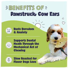 Pawstruck cow ears closeup texture highlighting a chewy surface.
