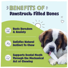 Pawstruck bone cross-section showing hollow interior and filling.