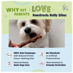 Pawstruck mini 5-inch junior beef sticks designed for toy and small breeds.