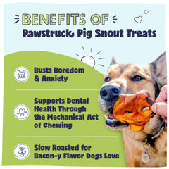Close-up of natural slow-roasted pig snouts for premium canine chew.