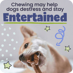 Pawstruck slow-roasted beef chew β rich aroma and savory taste.