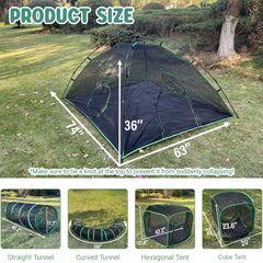 Pawtenda cat tunnels and hideaways spark curious play and hunting instincts.