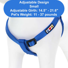 Pawtitas Solid Step-in Harness blue on dog during play and walks