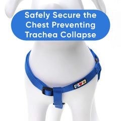 Pawtitas Solid Step-in Harness blue fabric close-up showing rip-stop nylon texture
