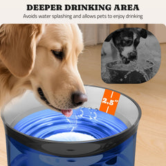 Pawtners elevated design for comfortable large-dog hydration
