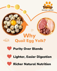 PAWUP additive-free quail egg yolk snack, no artificial ingredients.
