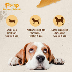 PAWUP Chicken Jerky Crisp Flakes in a serving bowl for dogs.
