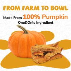 PAWUP pumpkin slices close-up texture highlights chewability for rewards