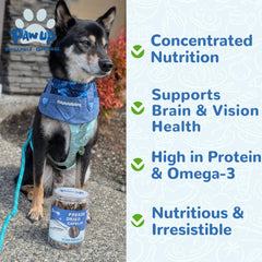 PAWUP Capelin Treats: a dog enjoying a crunchy omega-3 snack.