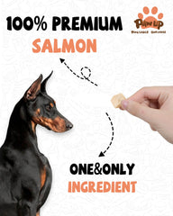PAWUP Freeze Dried Salmon Treats, crumbled form for added flavor on meals.