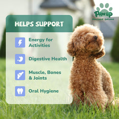 PAWUP High-Protein Chicken Neck; natural nutrition from freeze-drying.