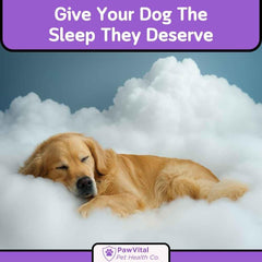 PawVital formula includes chamomile and valerian root for calming herbal support