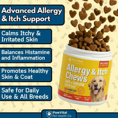 PawVital Dog Allergy Chews serving scene highlights easy daily dosing for dogs