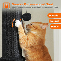 PAWZ Road includes a removable dangling ball for added play.