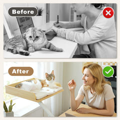 PAWZ Road elevated cat bed on desk keeps your cat within reach while you work.