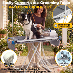 PAWZIDEA extension grooming arm supports steady trimming during sessions.