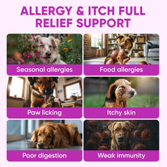 Pawzitive Pets dog allergy relief chews open pack highlights convenient daily use.