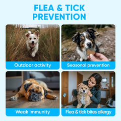 Pawzitive Pets flea and tick control treats for dogs of all sizes in a serving.