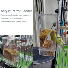 Paxlkuao acrylic parrot feeder clear container emphasizes transparent design for watching food