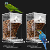 Paxlkuao automatic no mess bird feeder front view helps monitor seed level easily