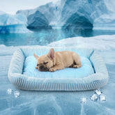 Pbed cooling dog bed blue surface shows ice silk cooling touch for hot days.