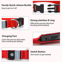 PcEoTllar color changing LED collar offers mood-matching light options.