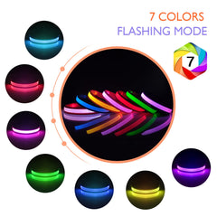 PcEoTllar LED dog collar color changing RGB mode in action