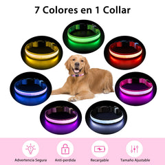 PcEoTllar LED color-changing dog collar showcases rainbow lights